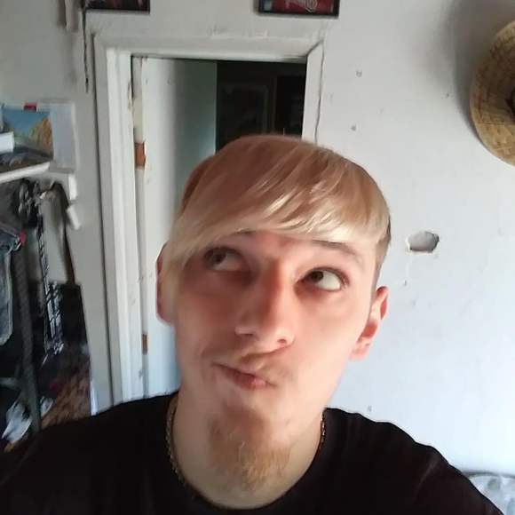 Meet your Posher, Sam - Picture 1 of 1